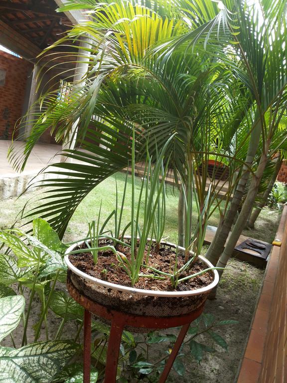 Toca Do Vaidoso Hotel Barreirinhas Bagian luar foto